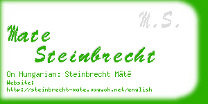 mate steinbrecht business card